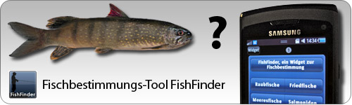 FishFinder Widget FishFinder Widget