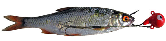 Fireball Jighaken mit Fisch Fireball Jighaken mit Fisch