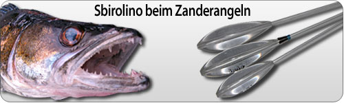 Klicke hier, um den ganzen Artikel zu lesen... Sbirolino beim Zanderfischen