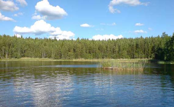 Bucht im See Sommen