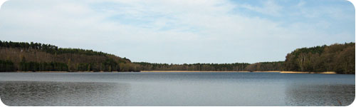 Klicke auf das Bild, um den ganzen Artikel zu lesen Der Springsee