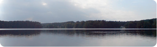 Wurlsee