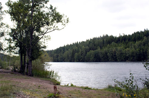 Fallingebergssjön