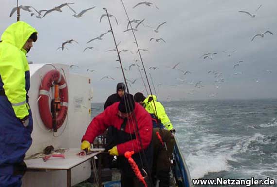 Blick auf den Öresund vom Kutter Blick auf Öresund vom Kutter