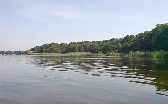 Ostufer - Zeuthener See